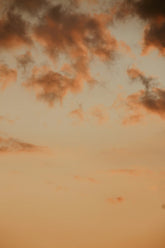 Golden Hour 50 ml Perfume Oil Rollerball